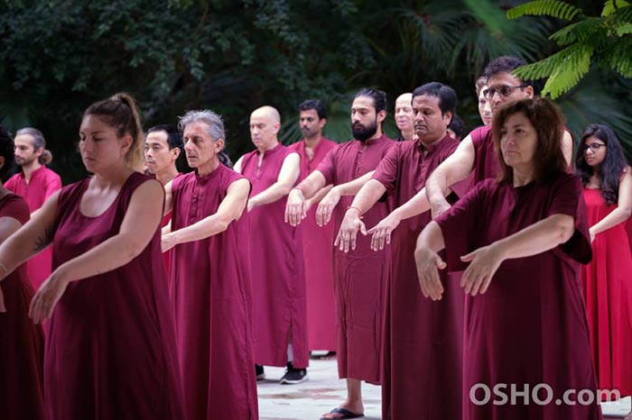 Tai Chi in Buddha Groove