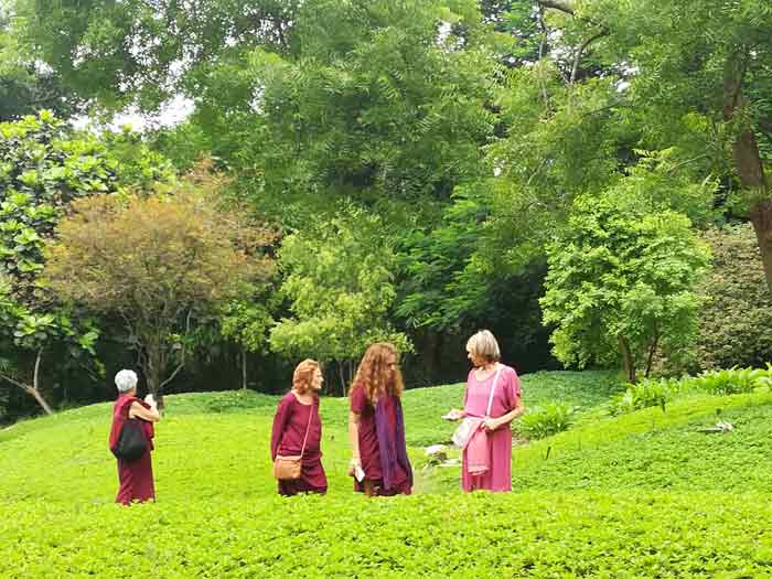 A spasso nel parco