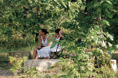 The garden